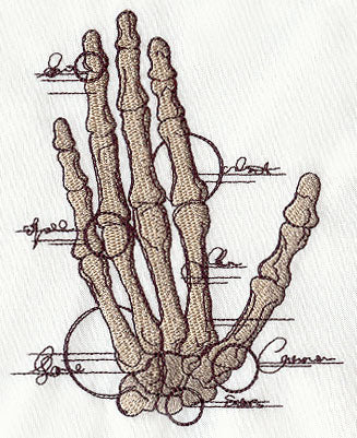 Anatomical Hand - Image 4