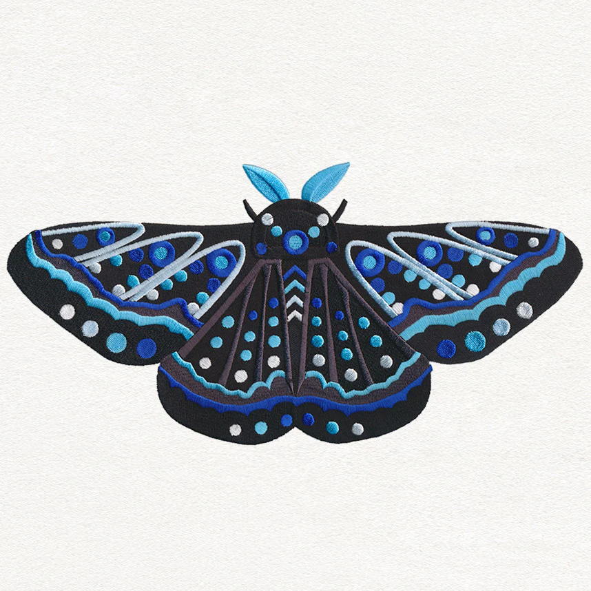 Animalia - Moth