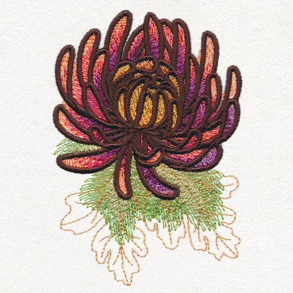 Autumn Equinox - Chrysanthemum - Image 5
