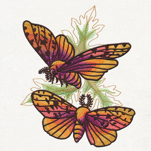 Autumn Equinox - Moths - Image 2