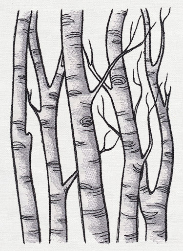 Birch Tree Forest - Image 3
