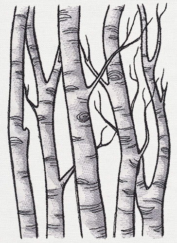 Birch Tree Forest - Image 4