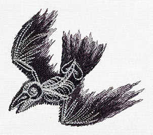 Bird Skeleton - Image 3