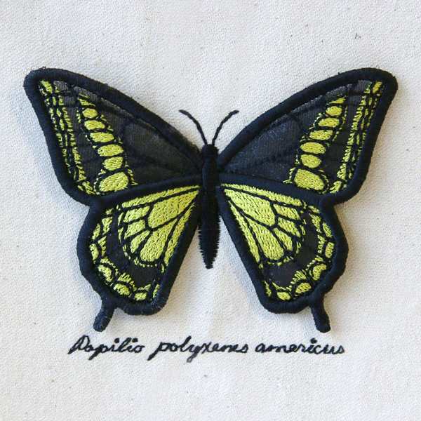 Black Swallowtail Display (3D Applique) - Image 3