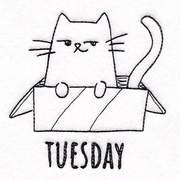 Box Claiming Cat on Tuesday - Image 3
