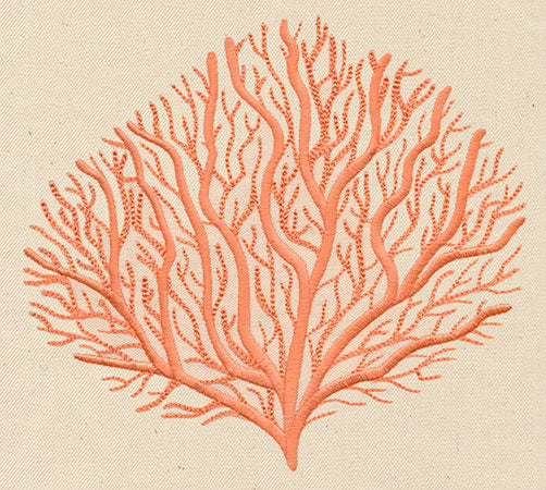Branching Coral - Image 4