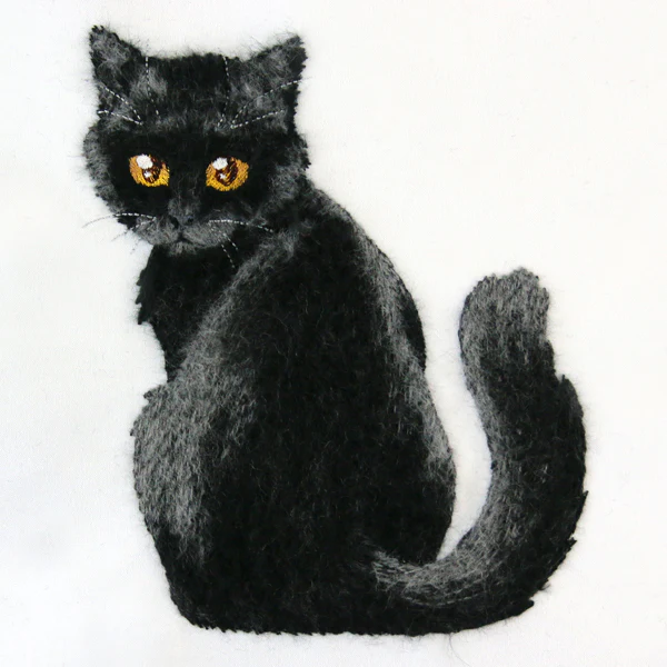 Brushed Kitten - Image 3