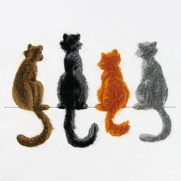 Brushed Kitty Border - Image 5