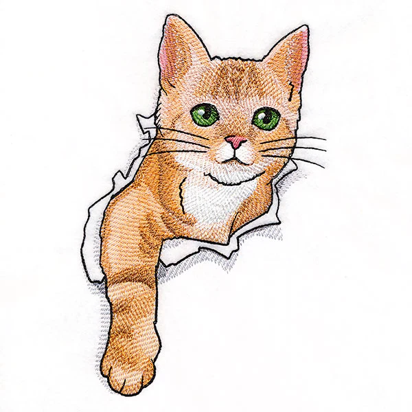 Busting Out Kitten - Image 3