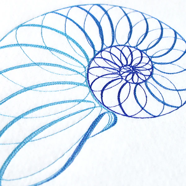 Calligraphic Seashell - Image 2