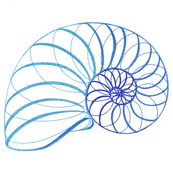 Calligraphic Seashell - Image 7