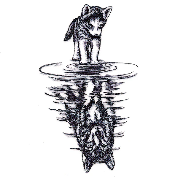 Canine Reflection - Image 7