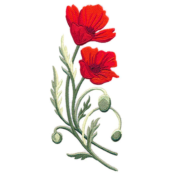Captivating Poppies - Image 5