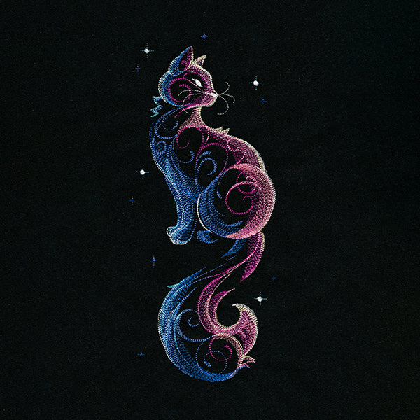 Cosmic Cat