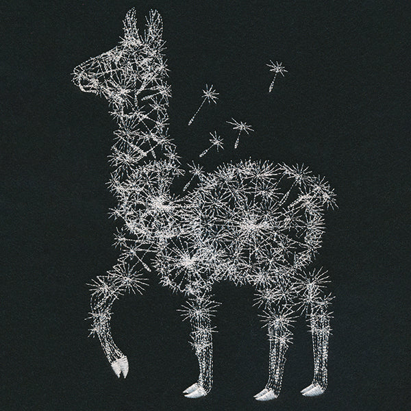 Dande-llama - Image 3