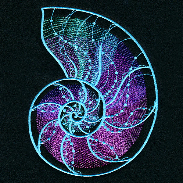 Deep Sea Mirage Nautilus Shell - Image 3