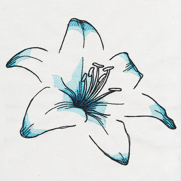 Delicate Petals - Image 5