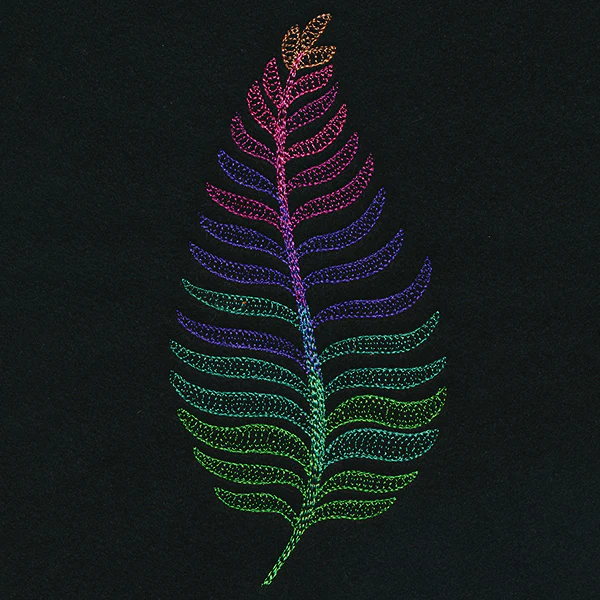 Dimensional Fern - Image 9