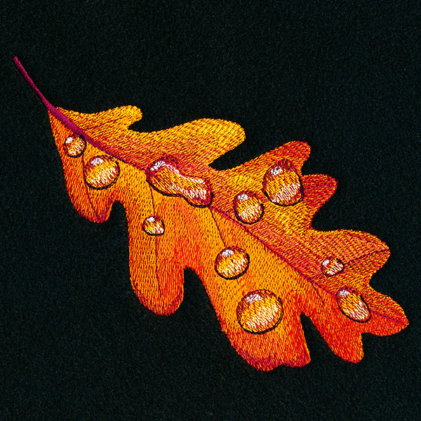 Early Morning Dew Drops Oak Leaf - Image 5
