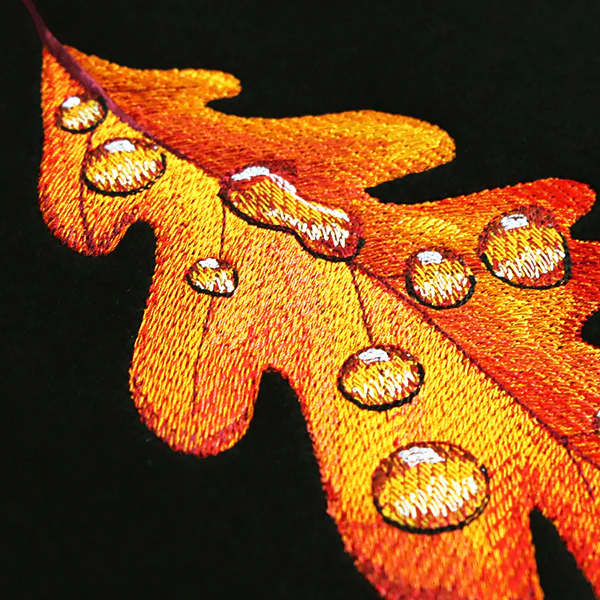 Early Morning Dew Drops Oak Leaf - Image 6