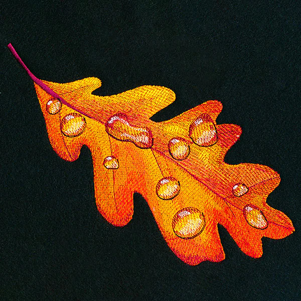 Early Morning Dew Drops Oak Leaf - Image 7
