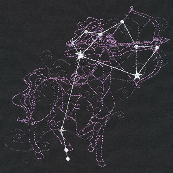 Ecliptic Constellations - Sagittarius - Image 2