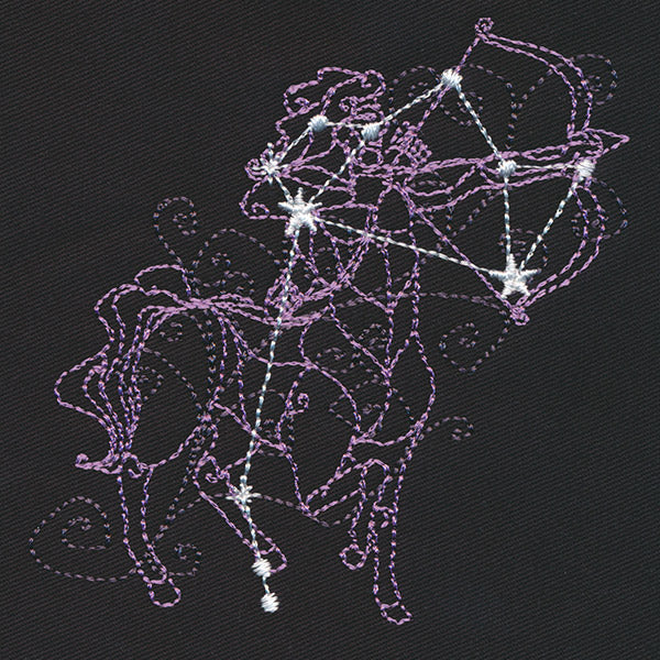 Ecliptic Constellations - Sagittarius - Image 5