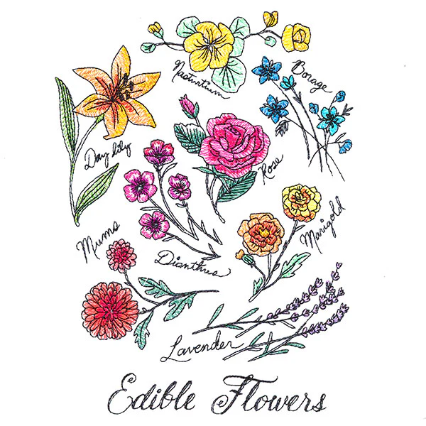 Edible Flowers - Image 2