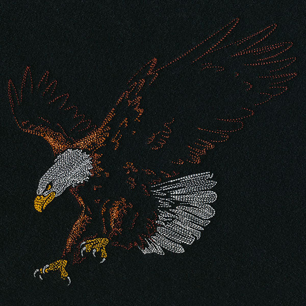 Emerging Eagle - Image 8