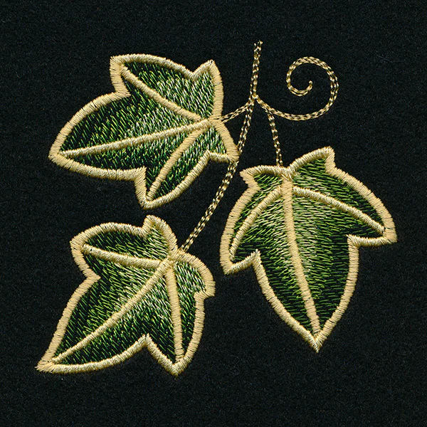 Enchanted Ivy Accent