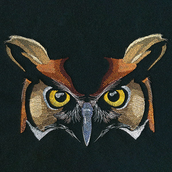 Enchanted Owl Face - Image 9