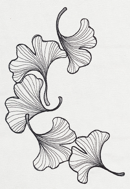 Engraved Ginkgo - Image 2