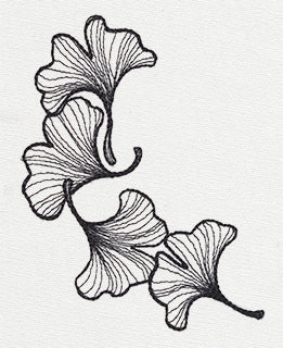 Engraved Ginkgo - Image 4