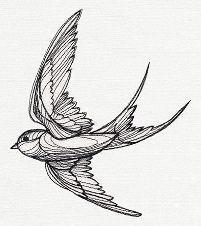 Engraved Swallow - Image 3