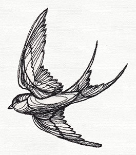 Engraved Swallow - Image 5