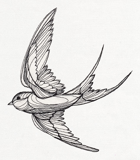 Engraved Swallow - Image 7
