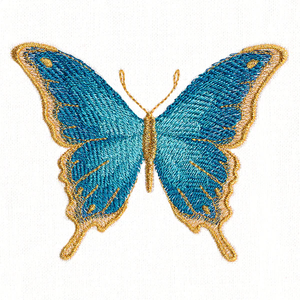 Everlasting Butterfly - Image 14