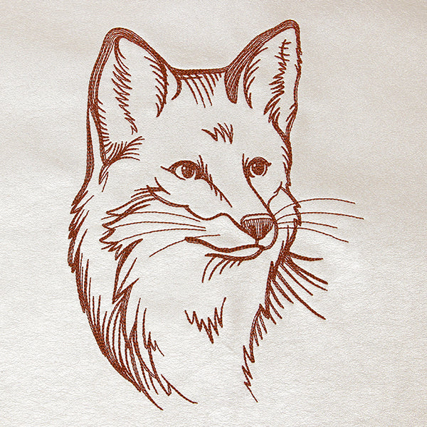 Friendly Fox - Image 2