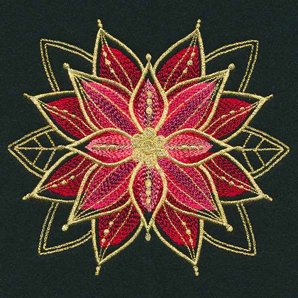 Gilded Mirage Poinsettia - Image 5