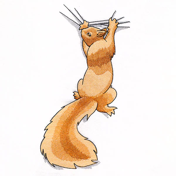 Hang in There Squirrel - Image 4