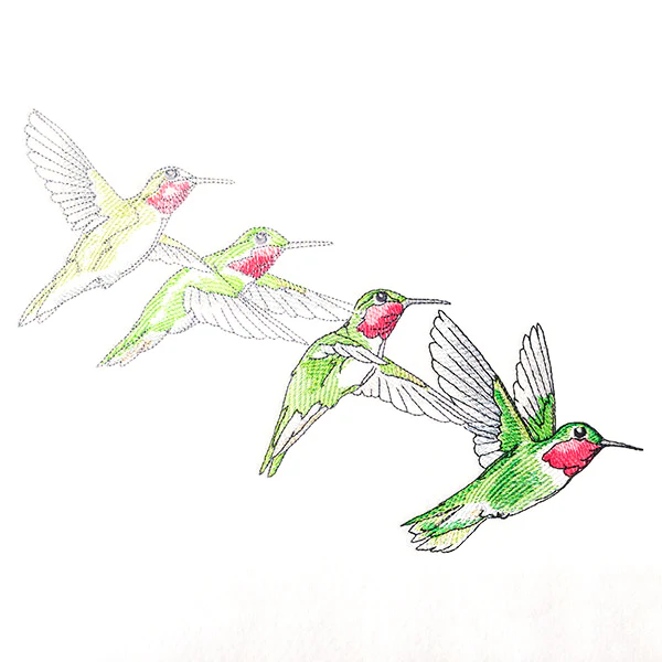 Hummingbirds in Flight - Image 4