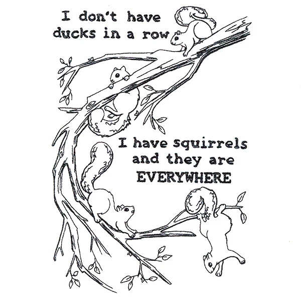 I Have Squirrels Everywhere - Image 3
