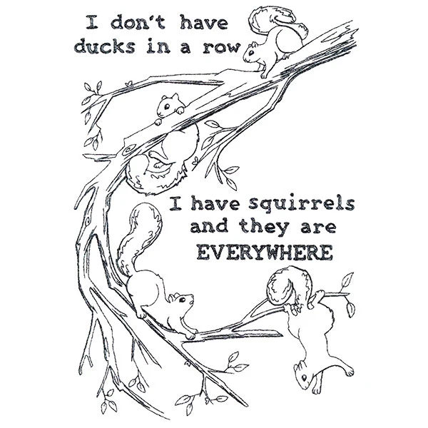 I Have Squirrels Everywhere - Image 4