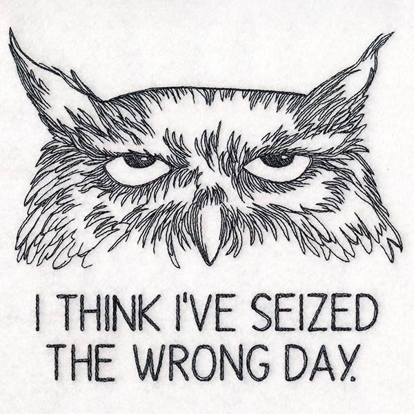 I Think I've Seized the Wrong Day Owl - Image 9