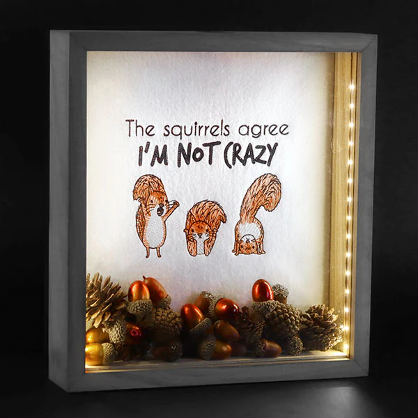 I'm Not Crazy Squirrels - Image 6
