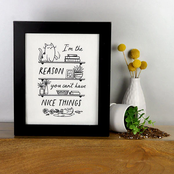 I'm the Reason You Can't Have Nice Things Bookshelf - Image 10