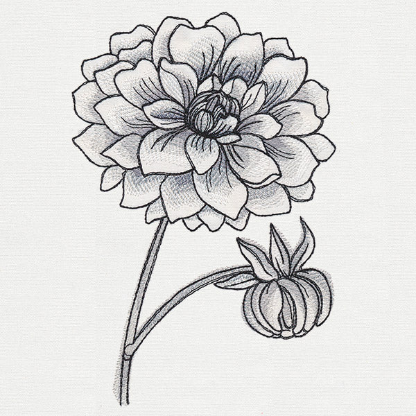 Ink & Wash - Dahlia - Image 3