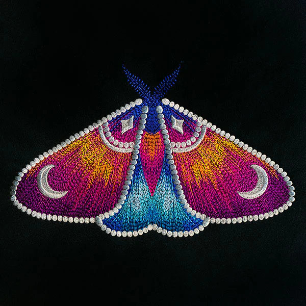 Into the Night Celestial Details Moth - Image 9