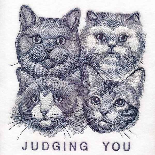 Judging You Cats - Image 8