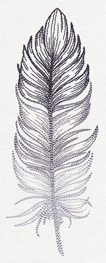 Light as a Feather - Image 4